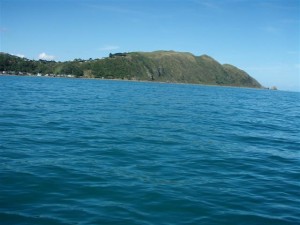 Looking back towards Pukerua Bay