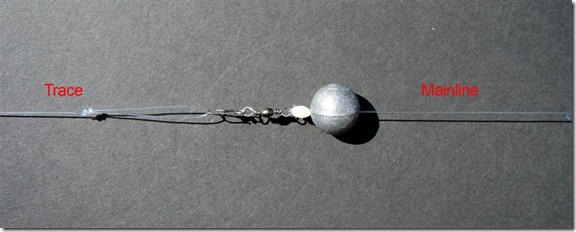 Snapper Rig_Mainline attachment copy (Medium)