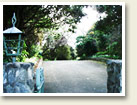 Photos of the Marine Gardens